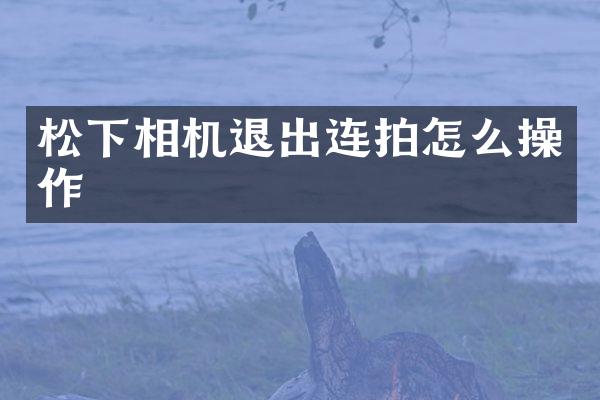 相机退出连拍怎么操作
