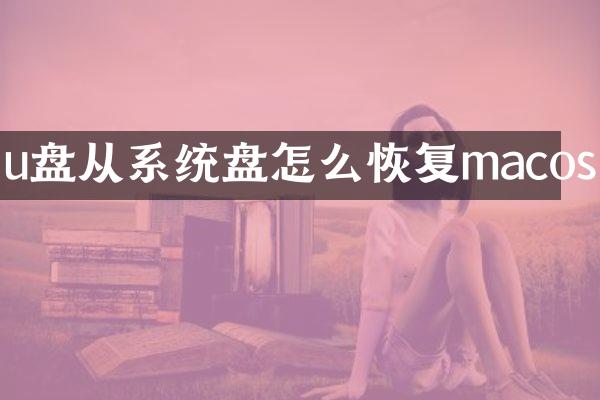 u盘从系统盘怎么恢复macos