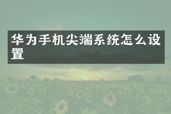 华为手机尖端系统怎么设置