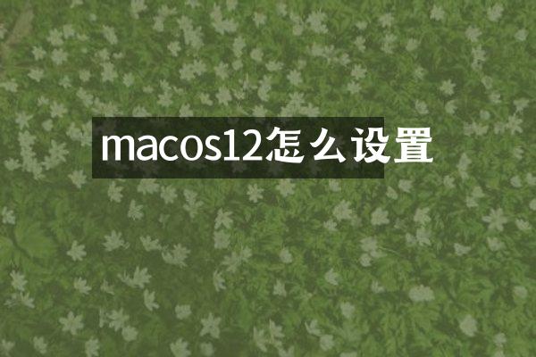 macos12怎么设置
