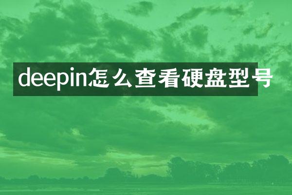 deepin怎么查看硬盘型号