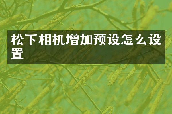 相机增加预设怎么设置