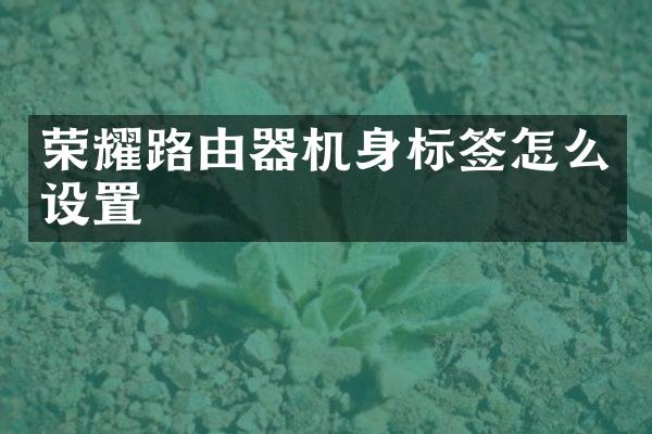 荣耀路由器机身标签怎么设置