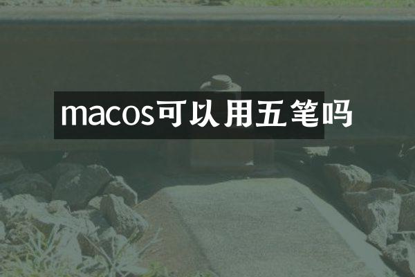 macos可以用五笔吗