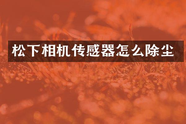 相机传感器怎么除尘