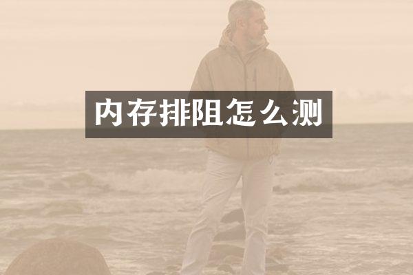 内存排阻怎么测