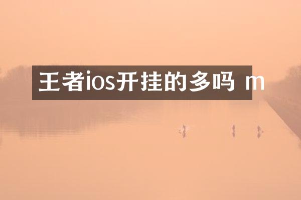 王者ios开挂的多吗 m