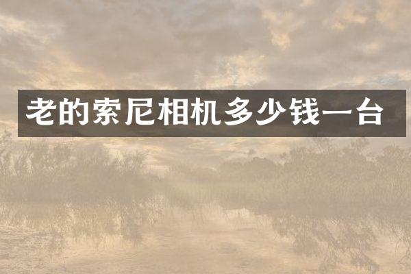 老的索尼相机多少钱一台