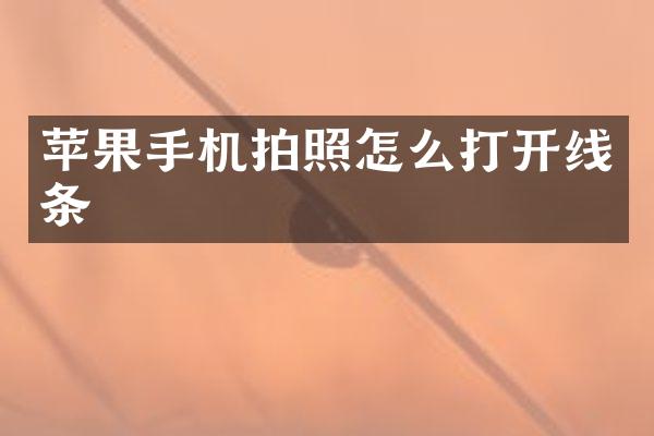 苹果手机拍照怎么打开线条