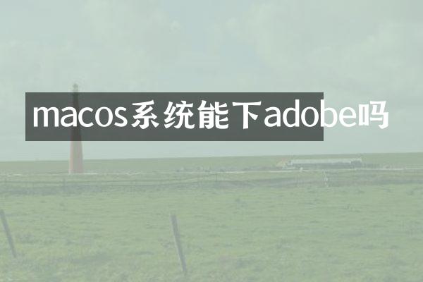macos系统能下adobe吗
