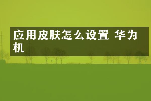 应用皮肤怎么设置 华为手机