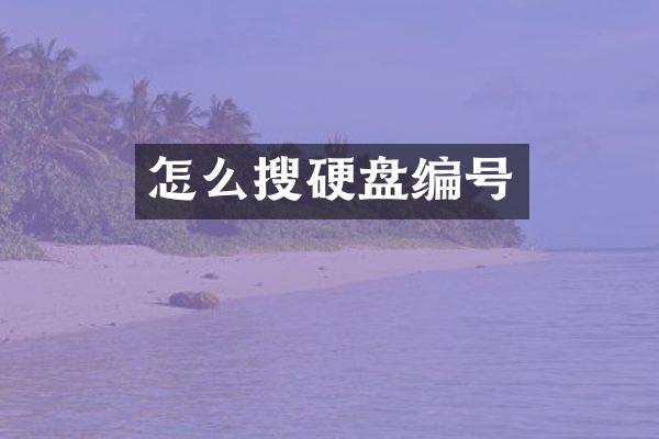 怎么搜硬盘编号