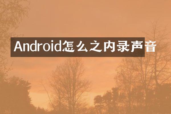 Android怎么之内录声音