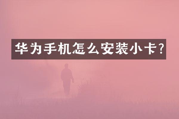 华为手机怎么安装小卡?
