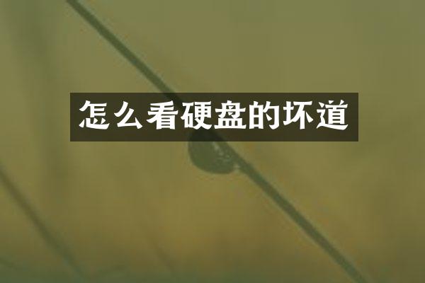 怎么看硬盘的坏道