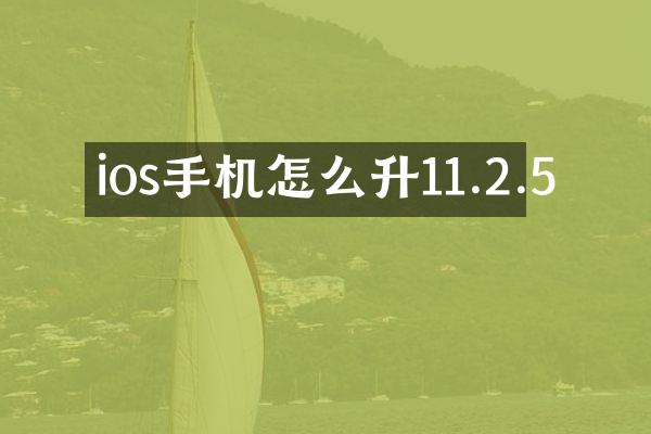 ios手机怎么升11.2.5