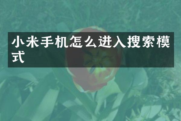 小米手机怎么进入搜索模式