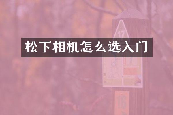 相机怎么选入门