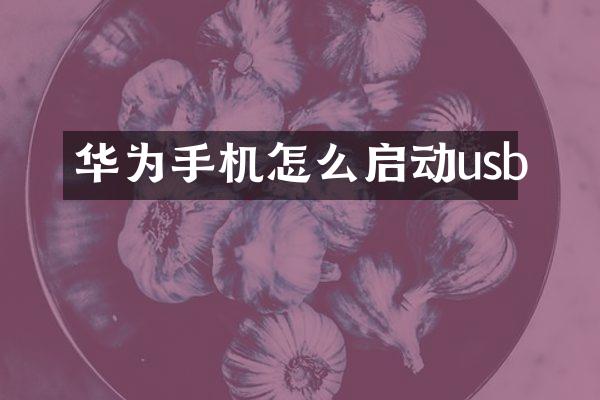 华为手机怎么启动usb