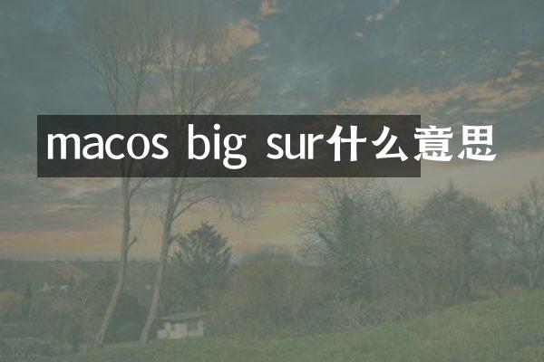 macos big sur什么意思
