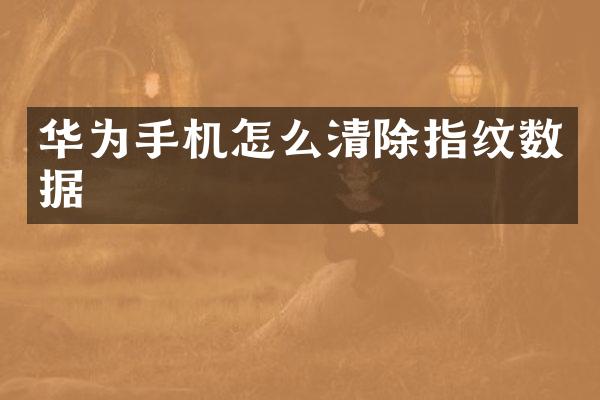 华为手机怎么清除指纹数据