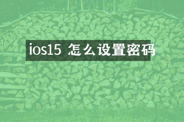 ios15 怎么设置密码