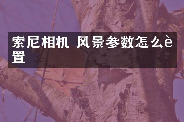 索尼相机 风景参数怎么设置
