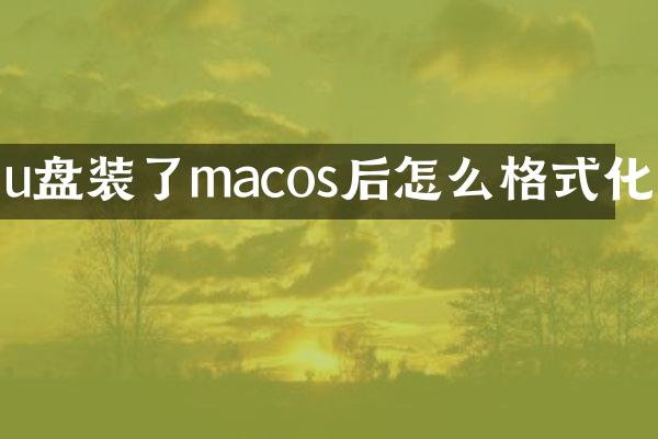 u盘装了macos后怎么格式化