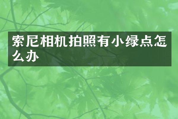 索尼相机拍照有小绿点怎么办