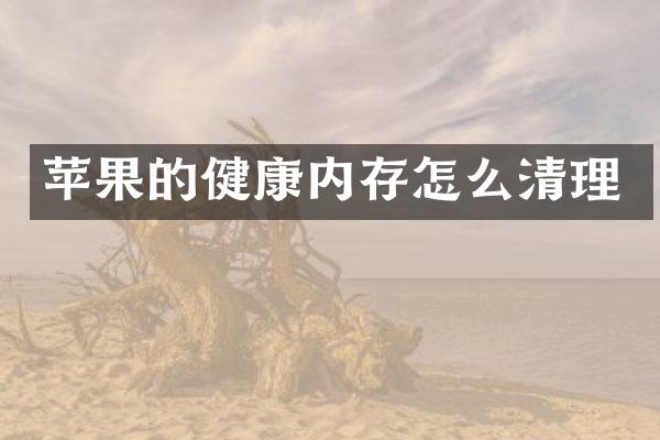 苹果的健康内存怎么清理