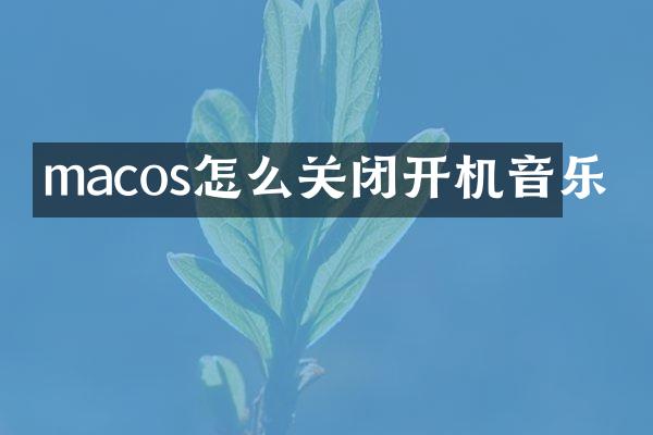 macos怎么关闭开机音乐