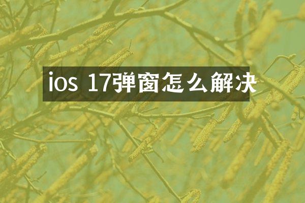 ios 17弹窗怎么解决