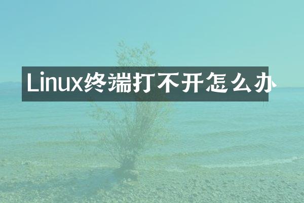 Linux终端打不开怎么办