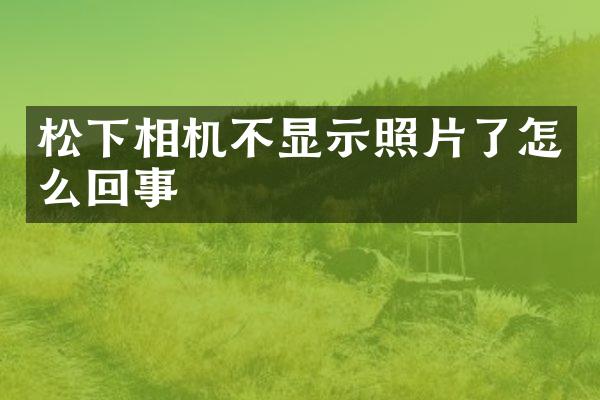 相机不显示照片了怎么回事