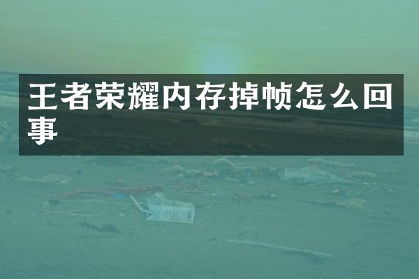 王者荣耀内存掉帧怎么回事