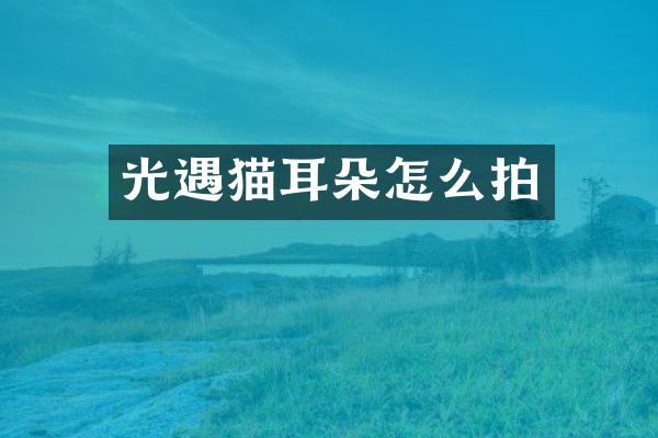 光遇猫耳朵怎么拍