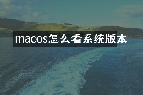 macos怎么看系统版本