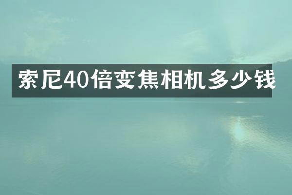 索尼40倍变焦相机多少钱