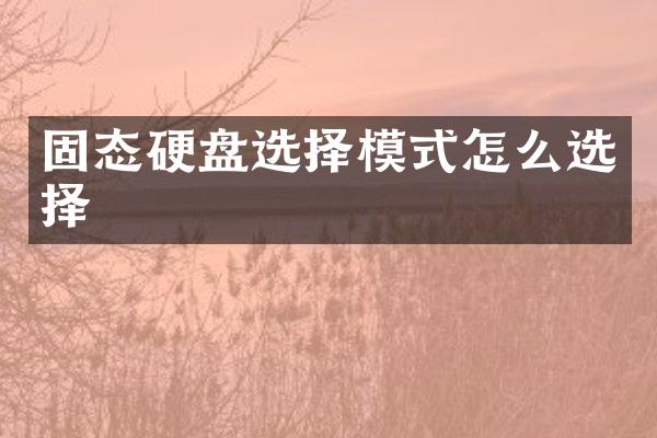 固态硬盘选择模式怎么选择