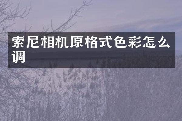索尼相机原格式色彩怎么调