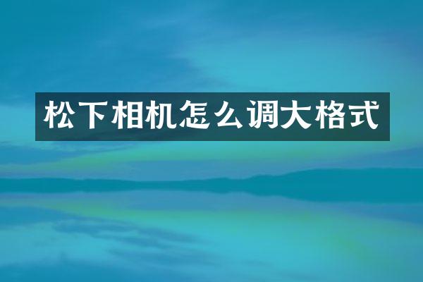 相机怎么调大格式