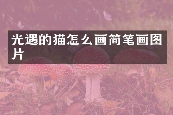光遇的猫怎么画简笔画图片