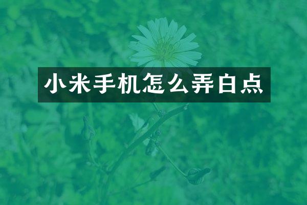 小米手机怎么弄白点