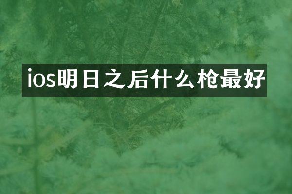 ios明日之后什么枪最好