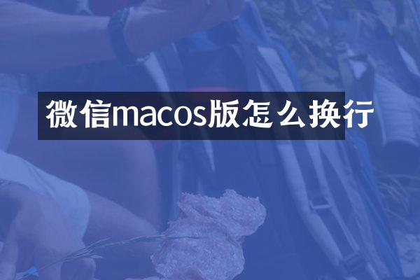 微信macos版怎么换行