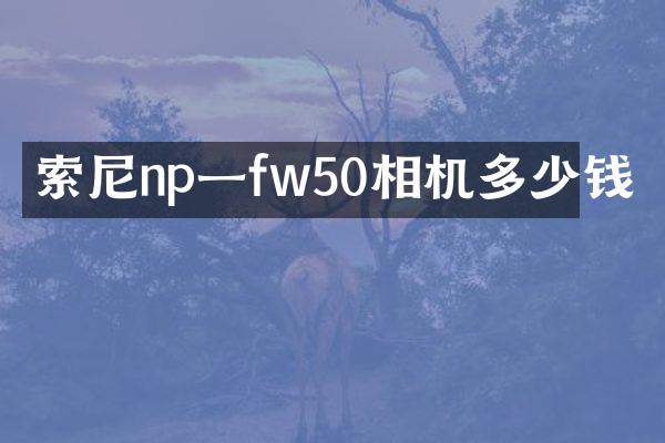 索尼np一fw50相机多少钱