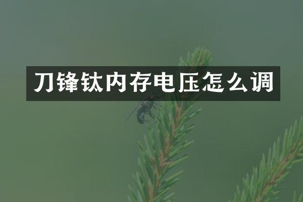 刀锋钛内存电压怎么调