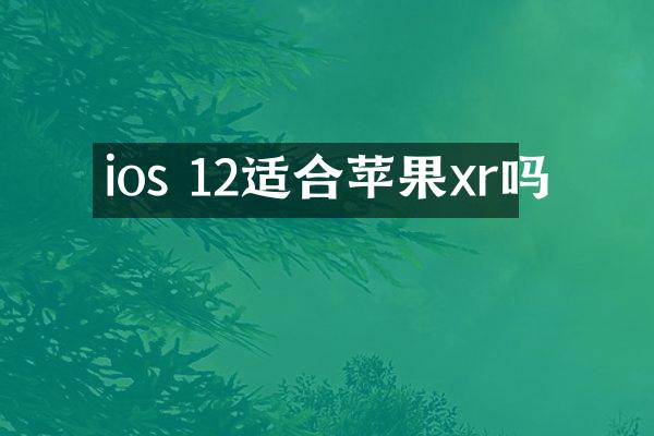 ios 12适合苹果xr吗