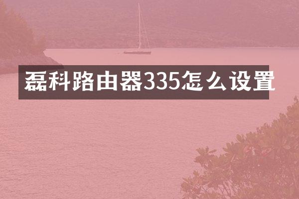 磊科路由器335怎么设置