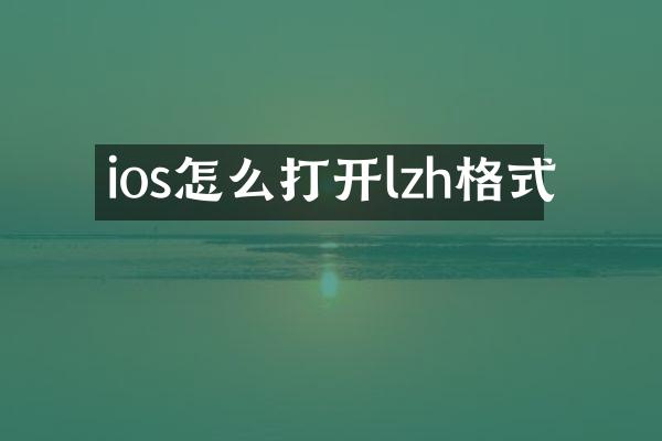 ios怎么打开lzh格式